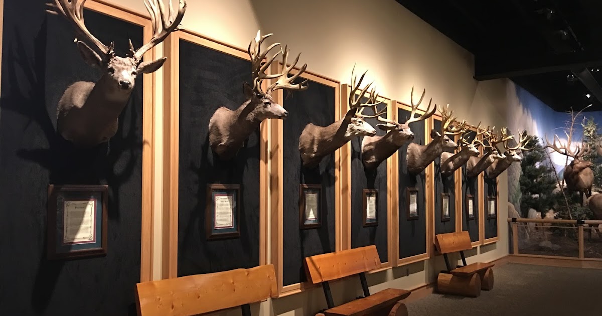 Cabela's World's Foremost Outfitter