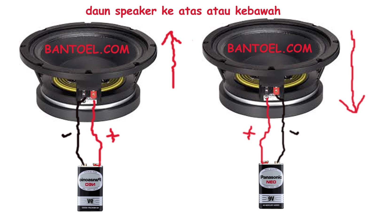 Cara Mengetahui Phase Speaker Dengan Mudah