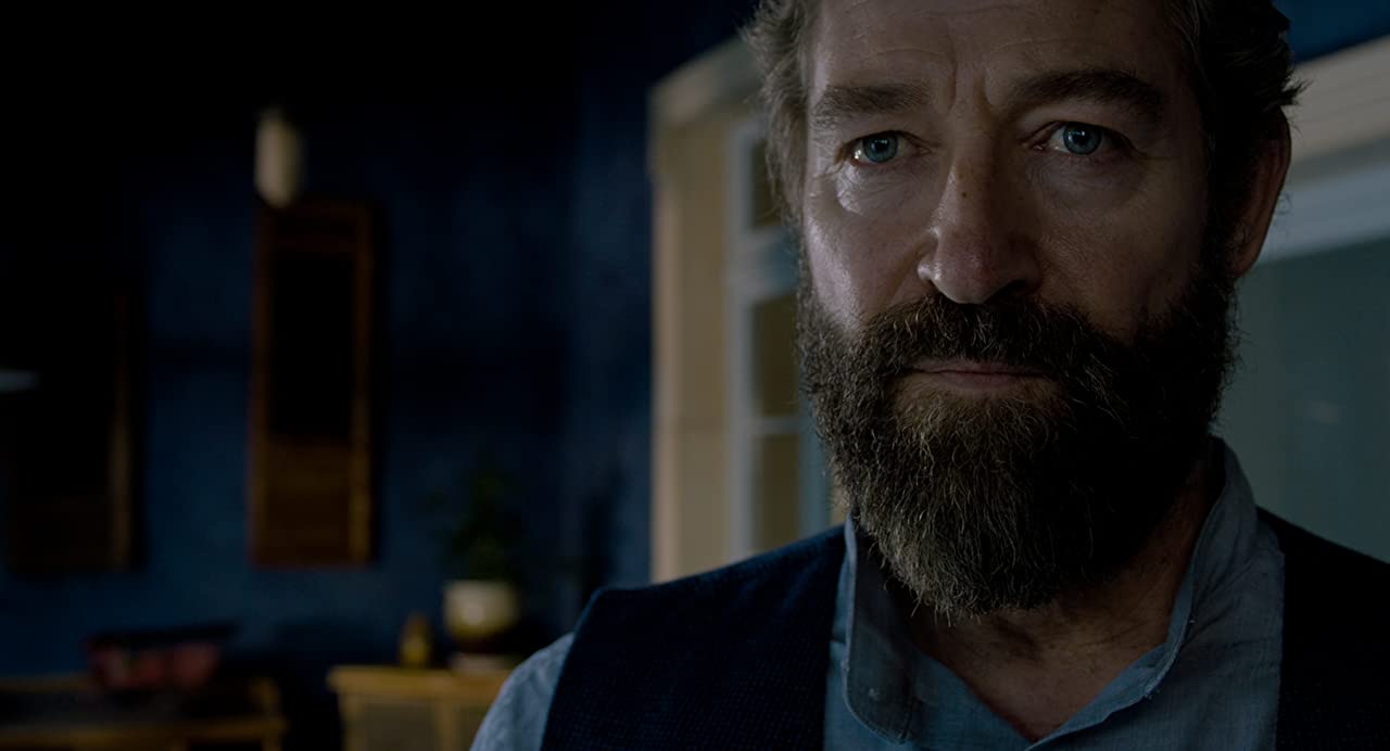 DVD & Bluray SAFE INSIDE (2019) Starring Andrea Tivadar and Steven