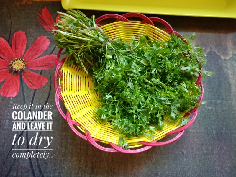 Veg Indian Cooking How to keep coriander leaves fresh in the
