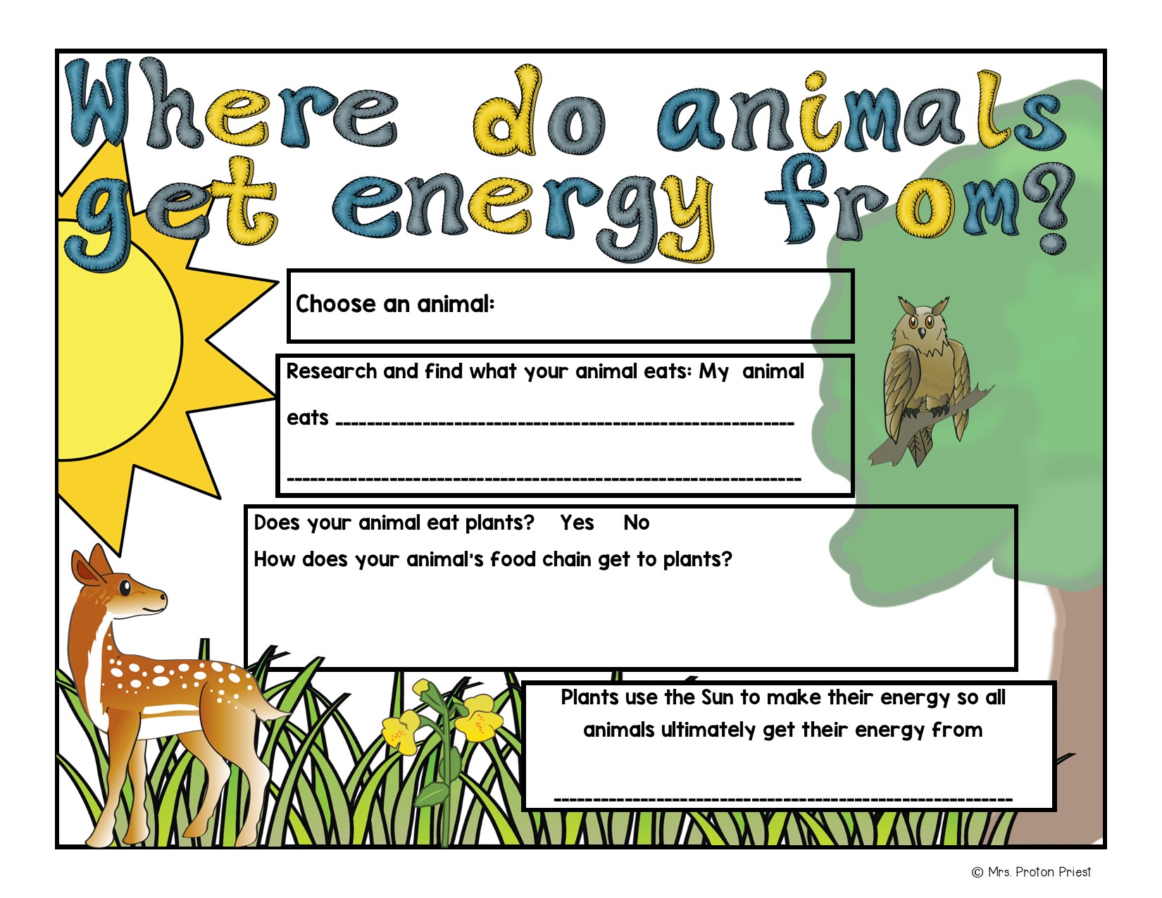 Where do organisms get their energy from? | Polka Dots and Protons -  Interactive Science Notebooks & More
