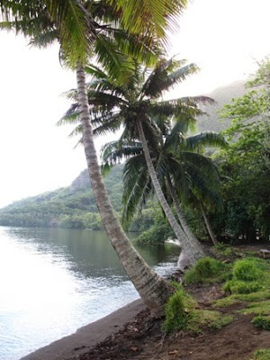 El paraiso si existe y esta en la Polinesia - El paraiso si existe y esta en la Polinesia (16)