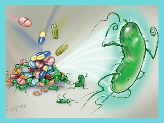 Cara penggunaan antibiotik