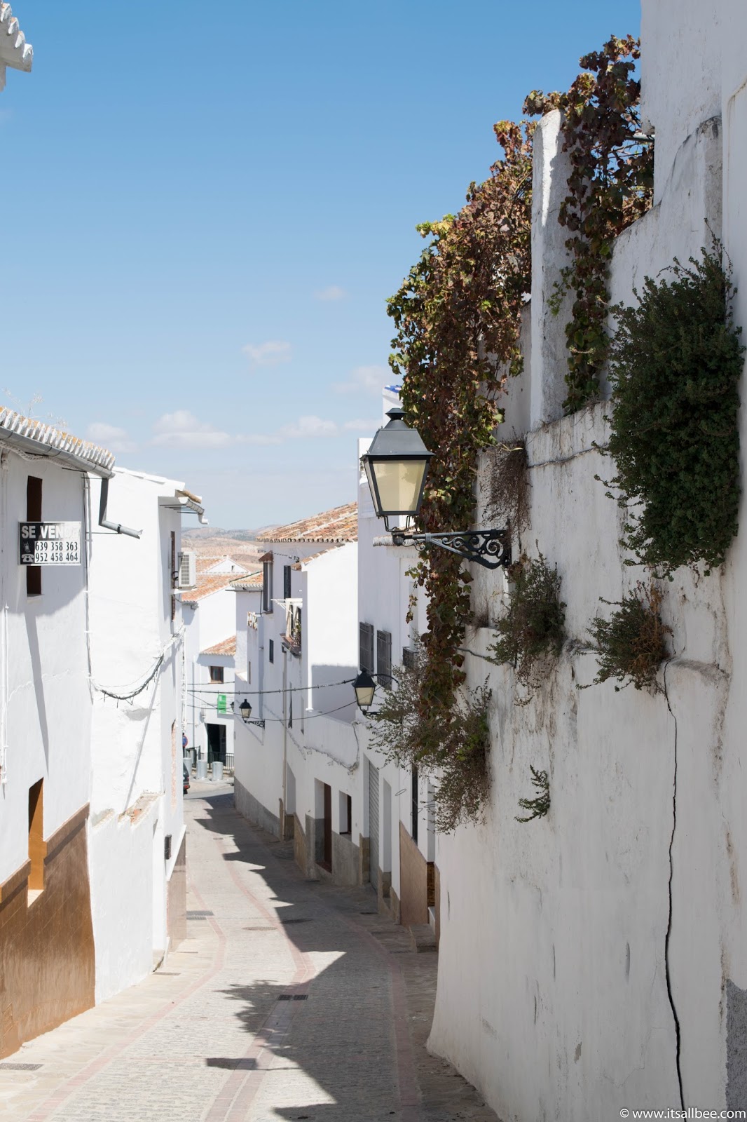 Top 7 Reasons To Visit Andalucia - With easy access to Cordoba, Seville, El Chorro and many beautiful Andalucian towns here are just a few more reasons why you need to explore this region in Spain. Also easily accessible via Malaga airport. Click for more details #traveltip #europe #sunshine #breaks #itsallbee