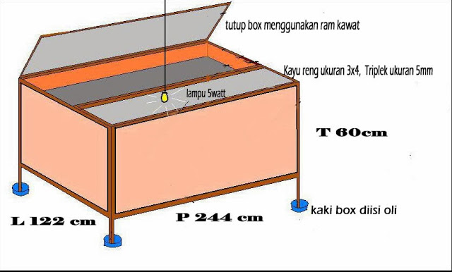 Cara Membuat Kandang Jangkrik Lengkap Dengan Biaya Minimal Jsmalfamart Com Cara Membuat Kandang Jangkrik Lengkap Dengan Biaya Minimal Jsmalfamart Com