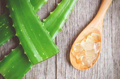 Aloe Vera- How to get rid of acne scars