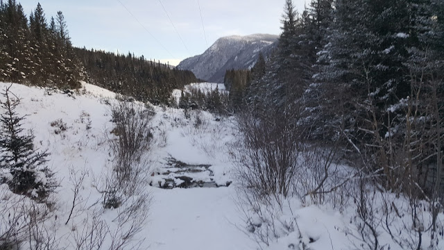 Sentier vers le mont Olivine