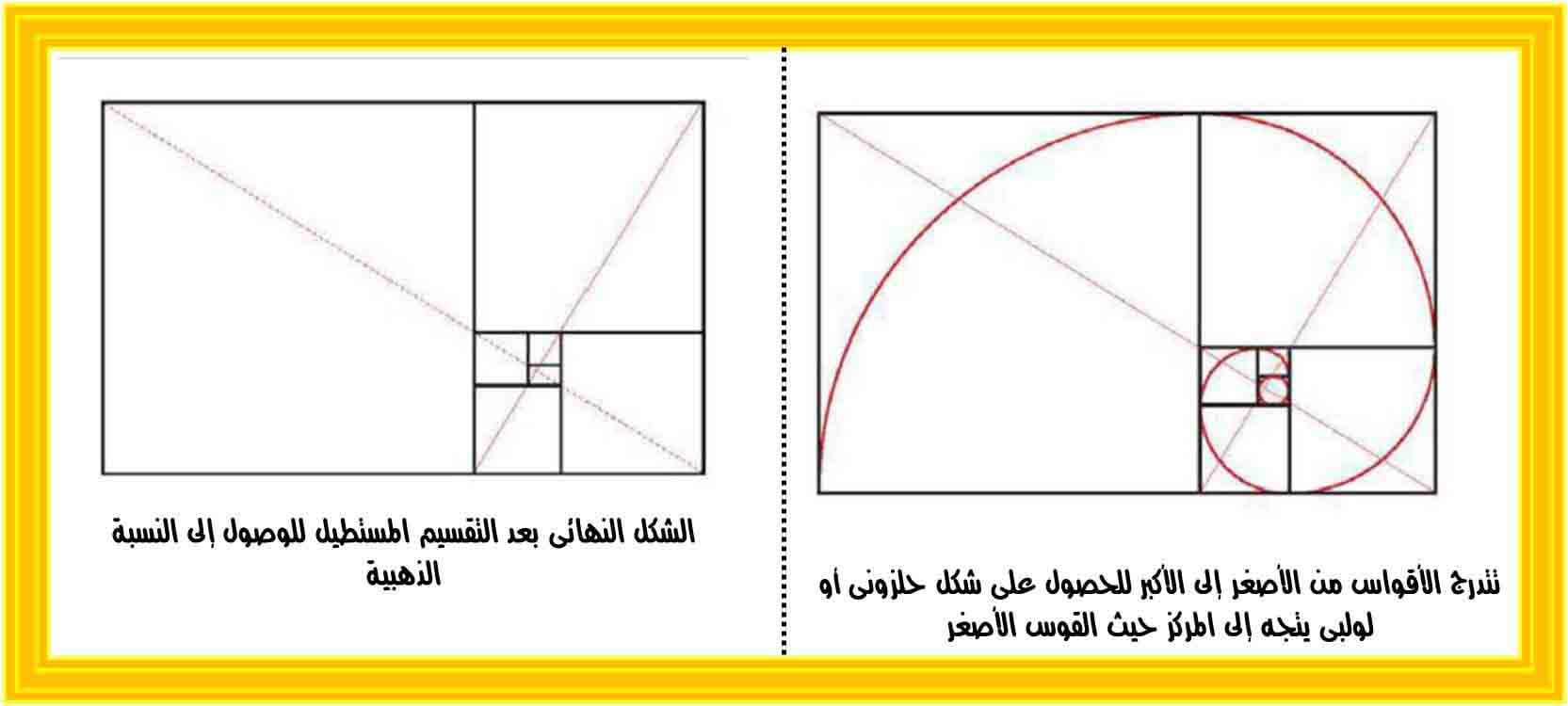 الفن والثقافة النسبة الذهبية The Golden Section ألوان