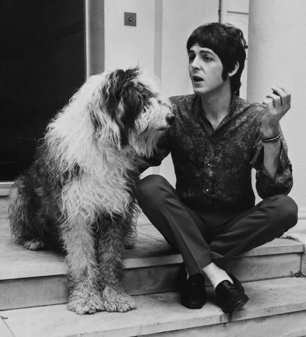 Famous Dogs in History Martha Inspired Paul McCartney