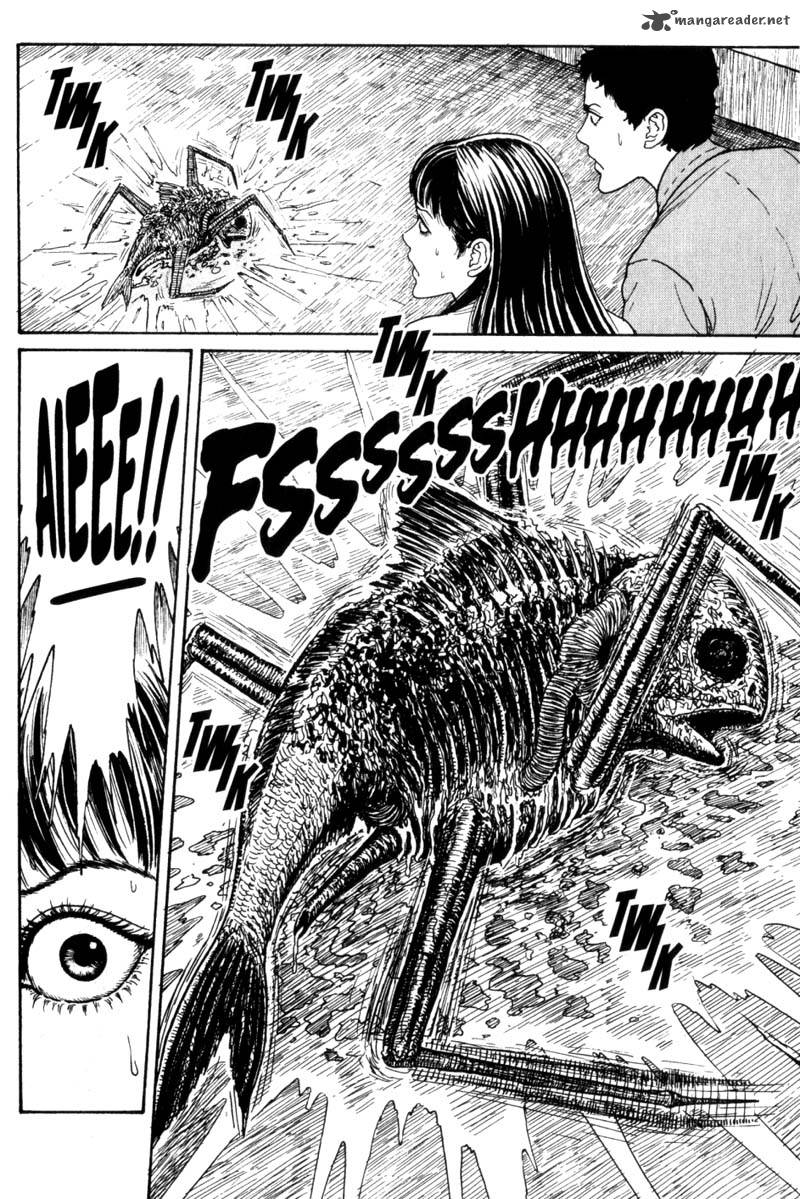 Gyo manga junji ito cubeasl