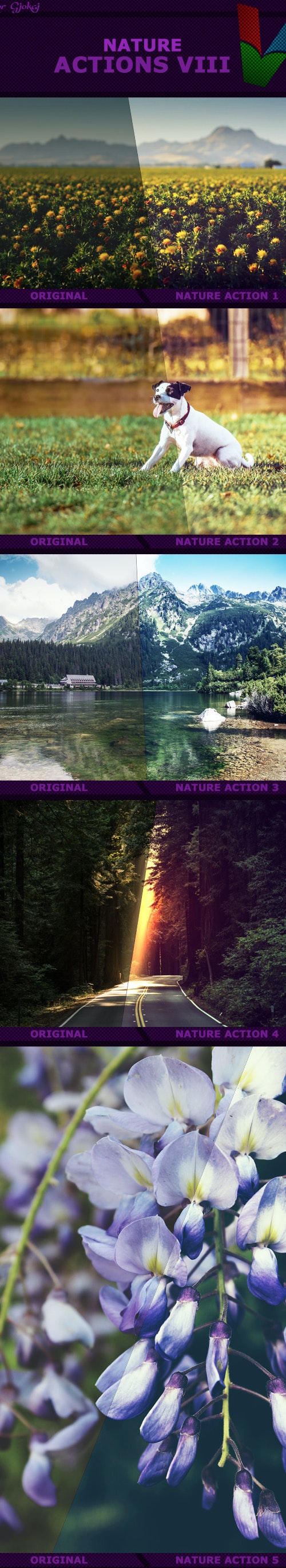Graphicriver - Nature Actions VIII 17355618 2 Nature%2BAction%2Bpreview%2BVIII