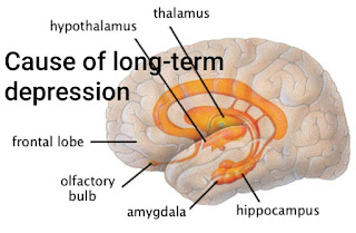 Why chronic depression occurs