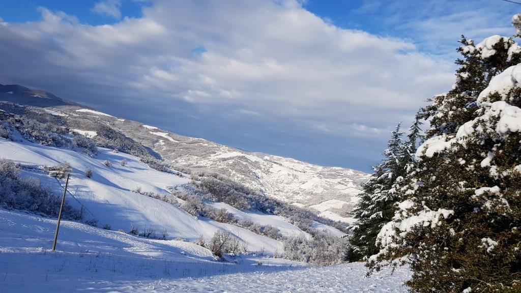 La Sfida Della Neve Artificiale: Come è Stata Gestita L'emergenza Climatica