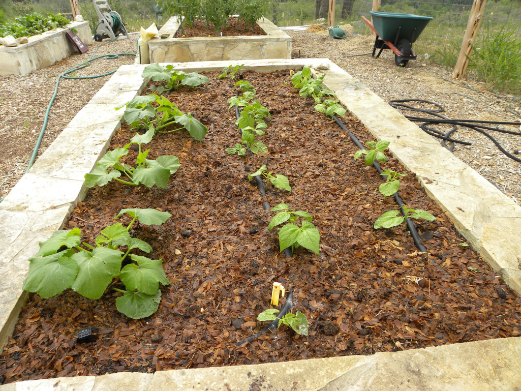 Types Of Compost For Gardens