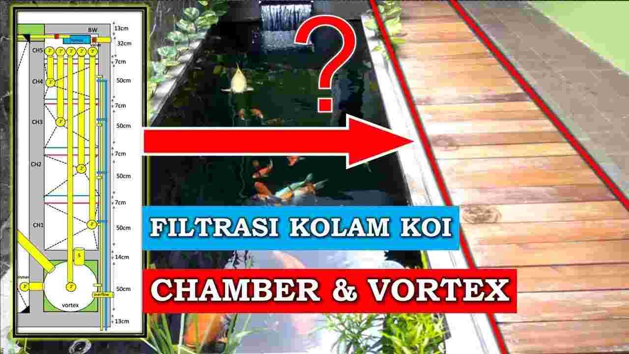 Filter Kolam Koi Dengan Sistem Chamber Dan Vortex Kigoi