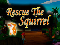 Top10NewGames - Top10 Rescue The Squirrel 