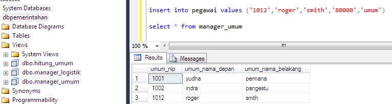 Using View Ms. SQL Server - NYOK NGODING