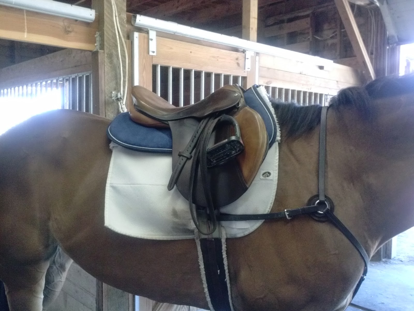 SprinklerBandits Half Pad Review Rundown Thinline, Ecogold, Ogilvy