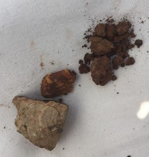 Oregon soil samples