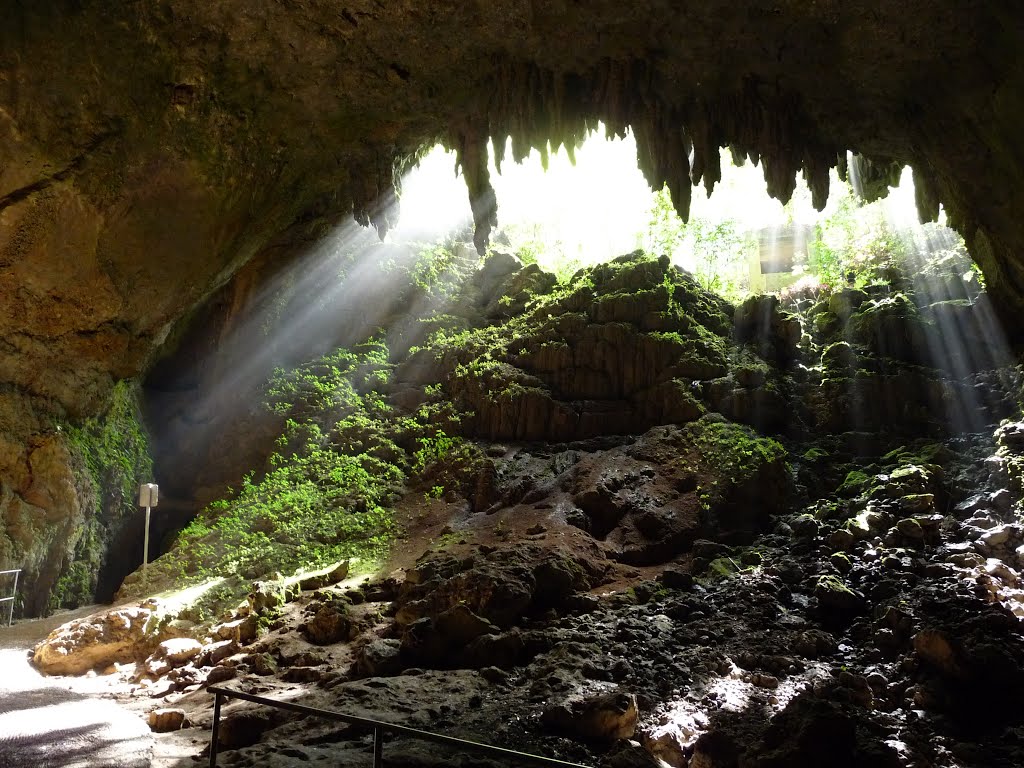 Las Cavernas del Río Camuy