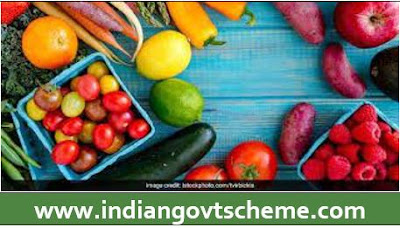 State Food Safety Index