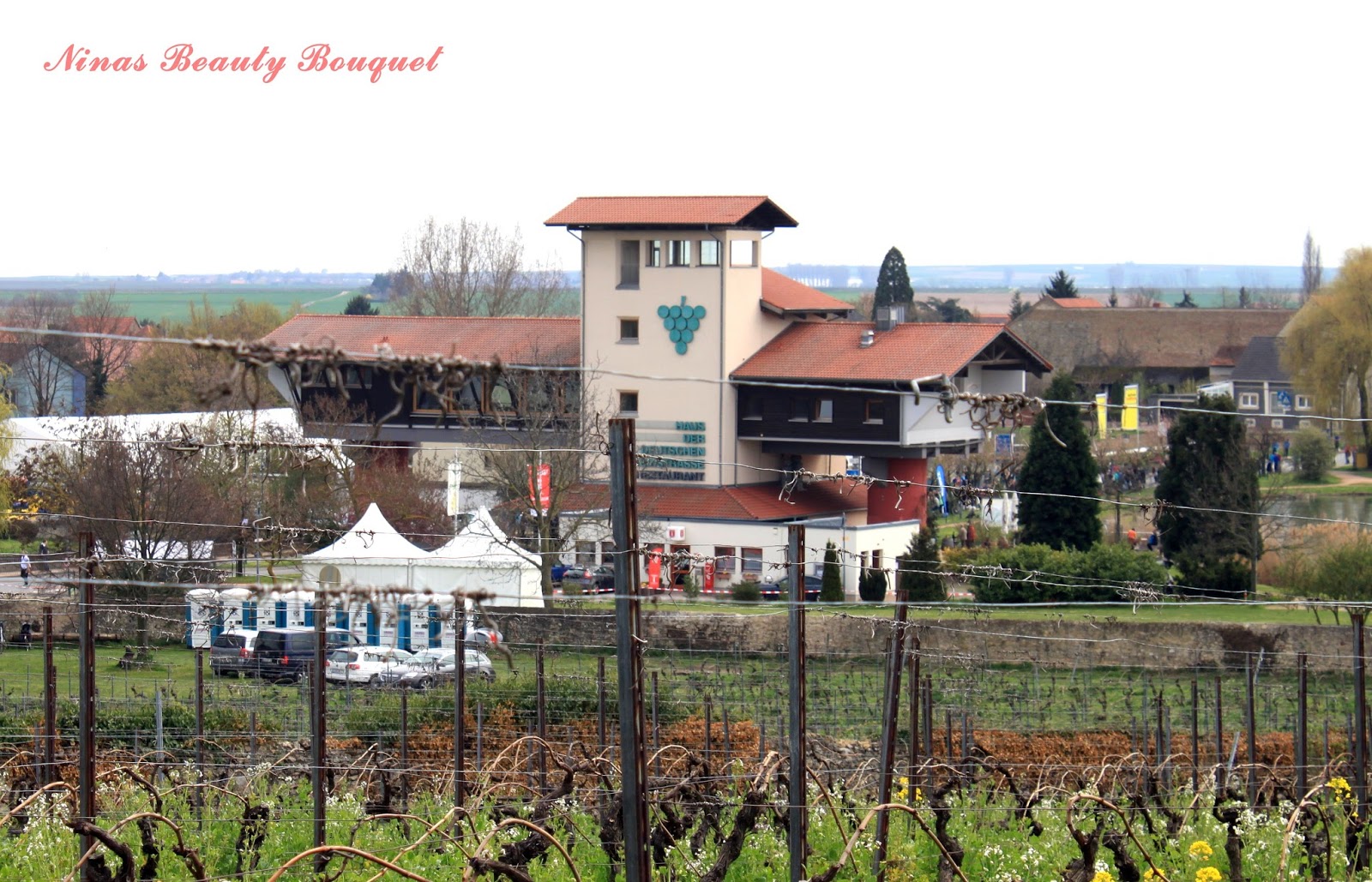 Ninas Beauty Bouquet 10 Marathon Deutsche Weinstrasse Am 10