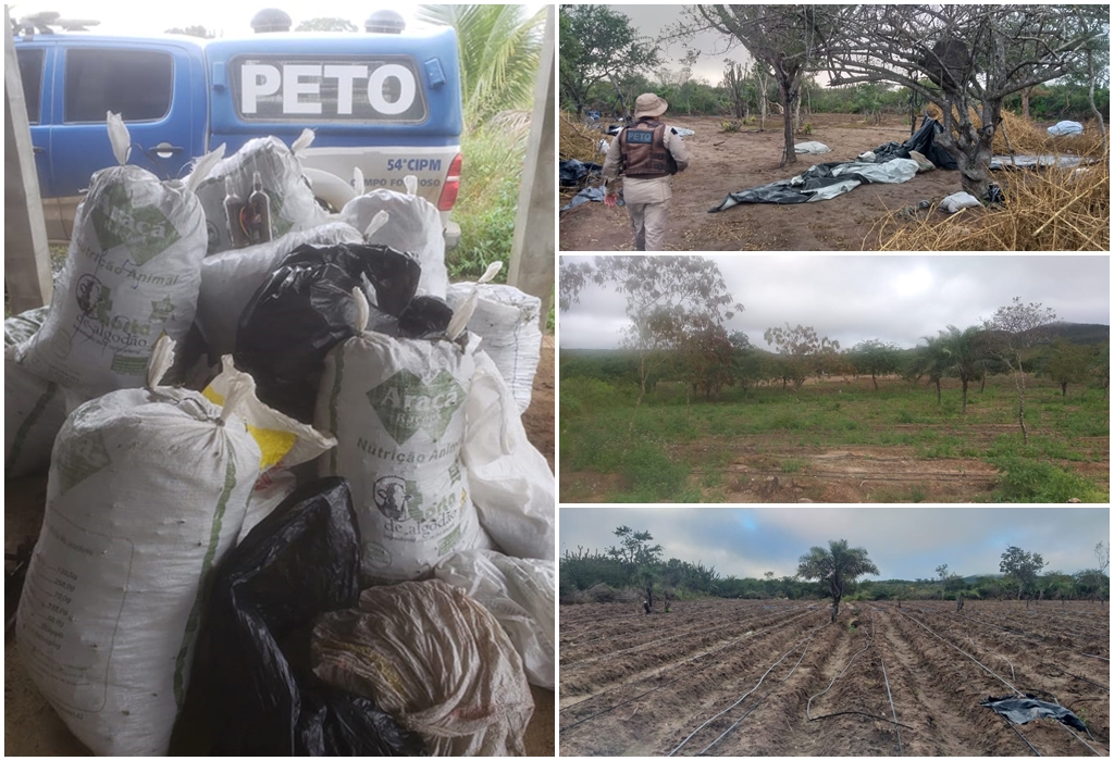 Homem morre em troca de tiros com a PM durante ação que apreendeu 350