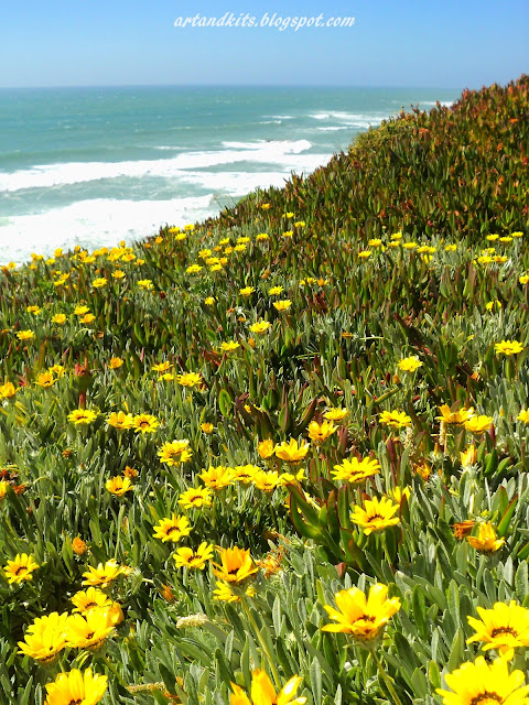 Já é Verão... outra vez!... Quando os dias se tornam mais longos... e a sede de momentos felizes aumenta... / It is Summer... again!... When the days grow longer... and the thirst for happy moments increases...