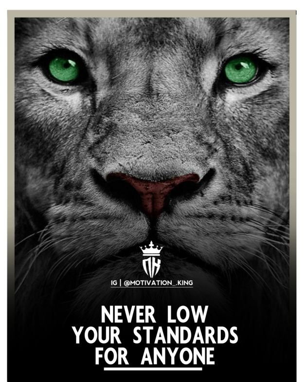 200 Lion Lioness Quotes And Lion Quotes About Strength For Life lion lioness quotes and lion quotes