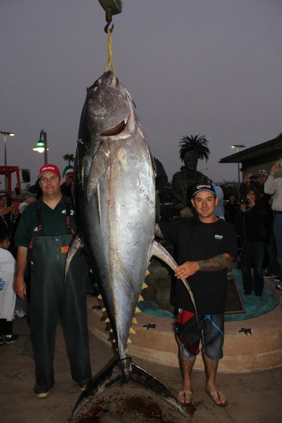 Pisces Fleet Sportfishing Blog Biggest Yellowfin Tuna Caught On Rod