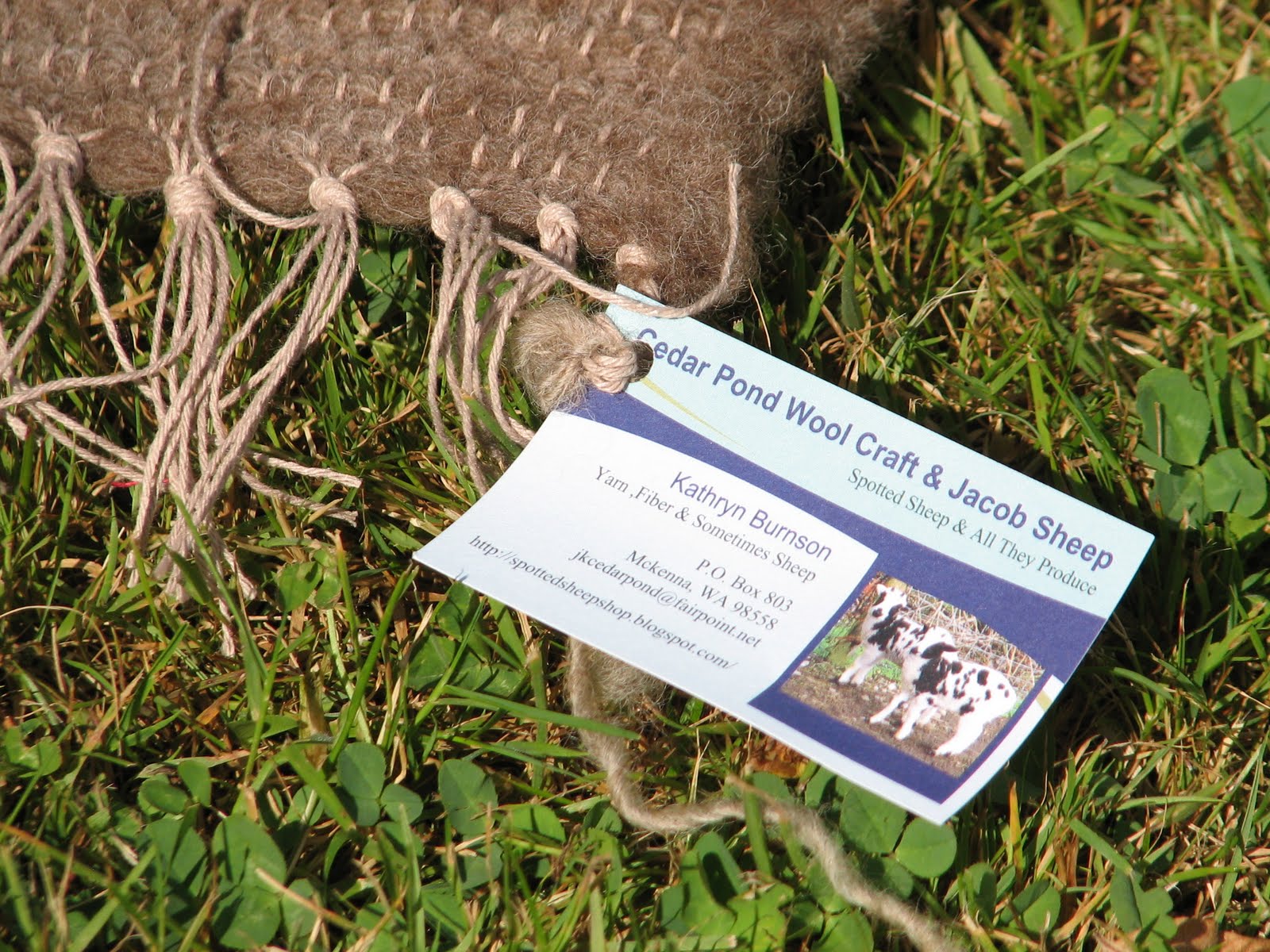 Spotted Sheep Shop Handwoven Wool Rugs for Sale