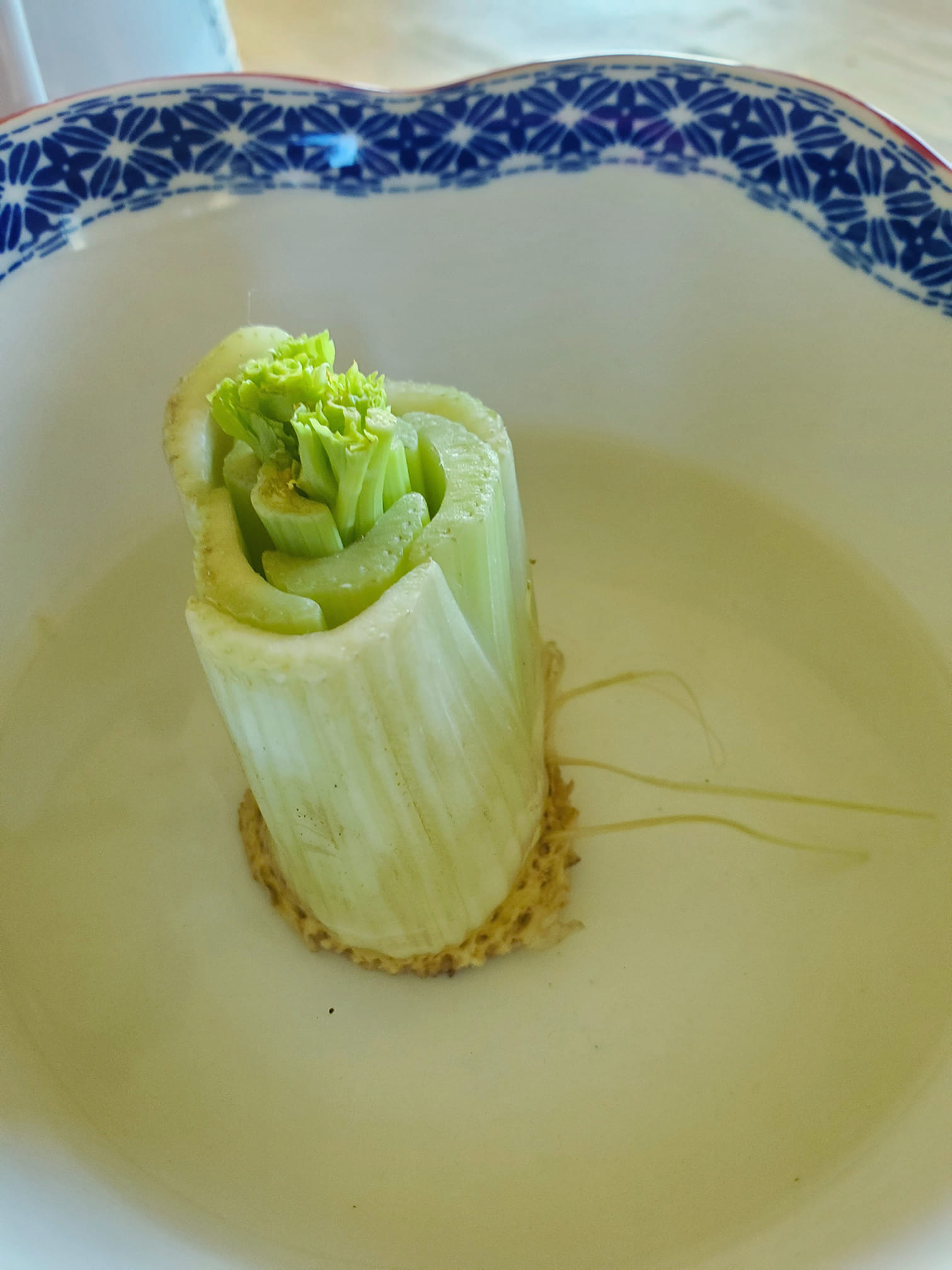 Grow Celery from Grocery Store Stalks (Plus, How to Preserve Celery