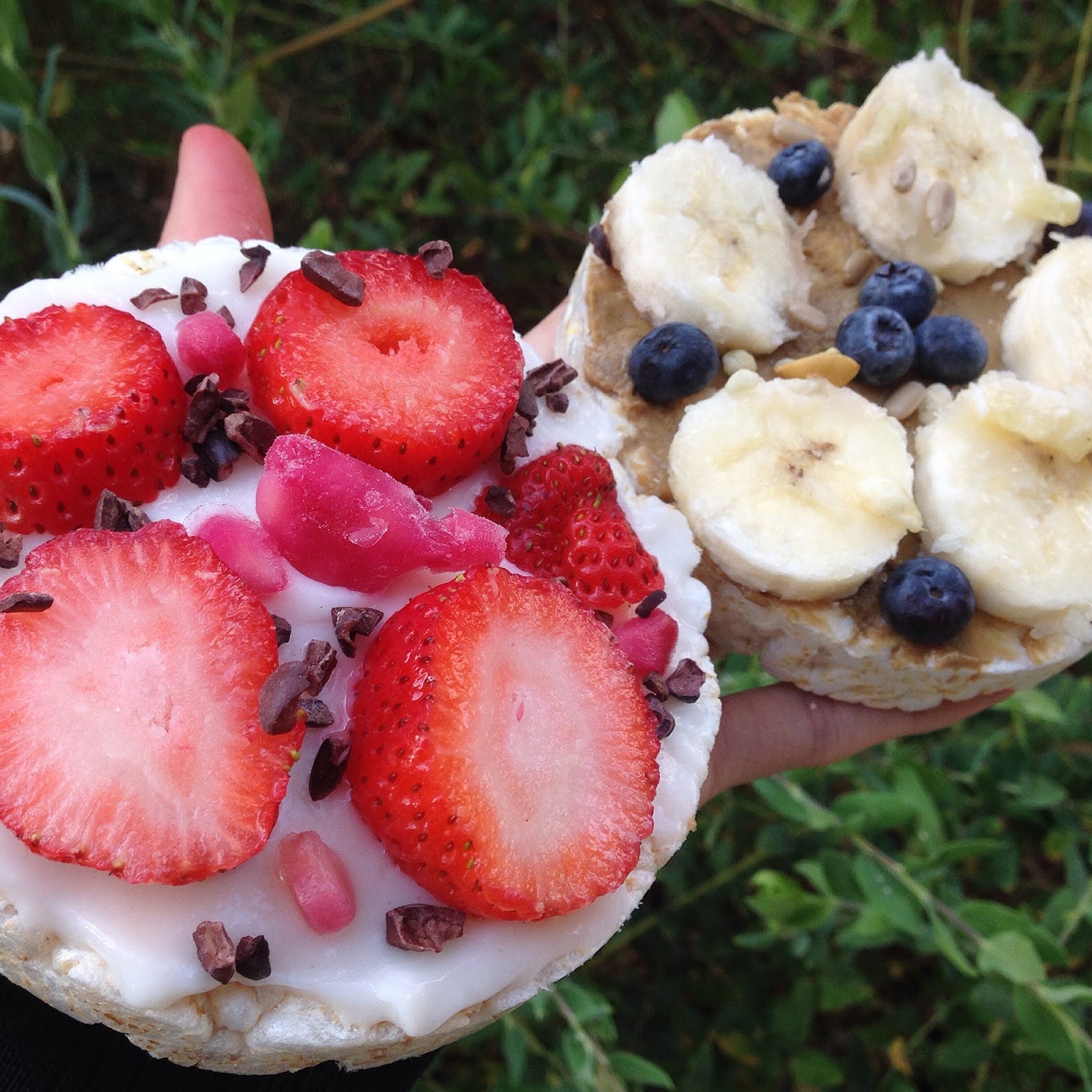 Diet Food to GF Delicacy Rice Cakes Four Ways (Gluten Free, Vegan)