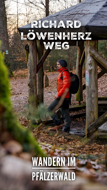 Richard-Löwenherz-Weg  Annweiler am Trifels  Wandern Südliche Weinstraße  Wanderung Pfälzerwald 06