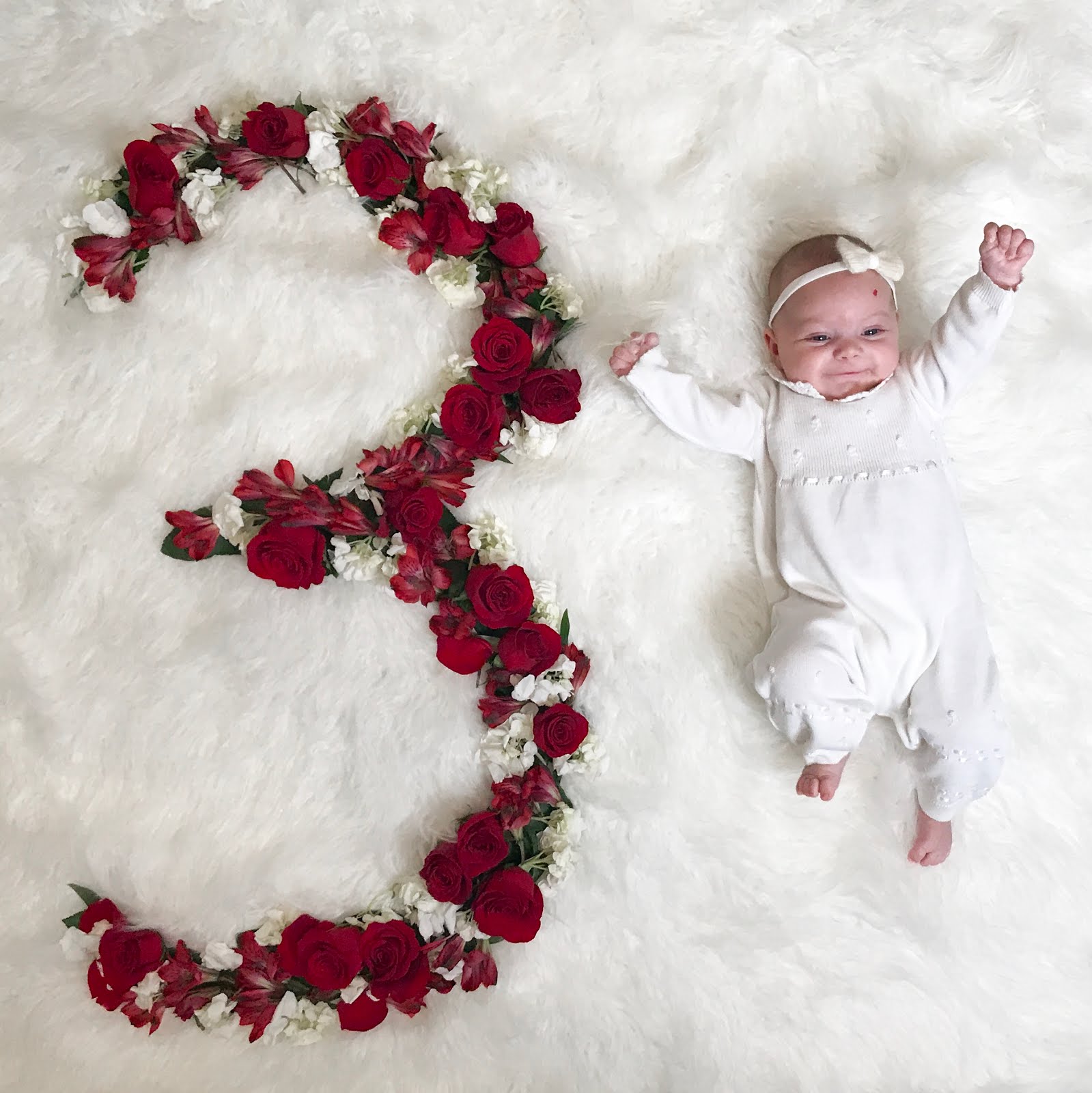 Kati Heifner: Monthly Baby Photos with Flowers