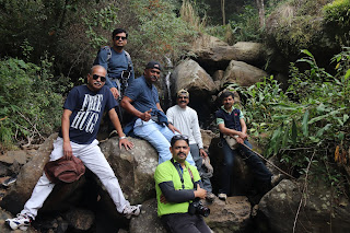 Photo of Among the Gaurs at Kotagiri 41/71 by Balachandra