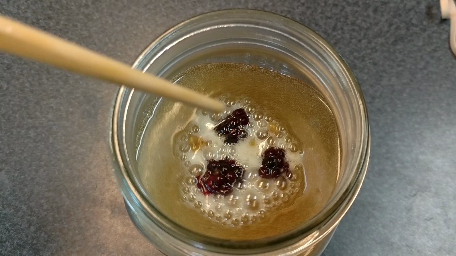 Wild Yeast Starter for Home Brewing