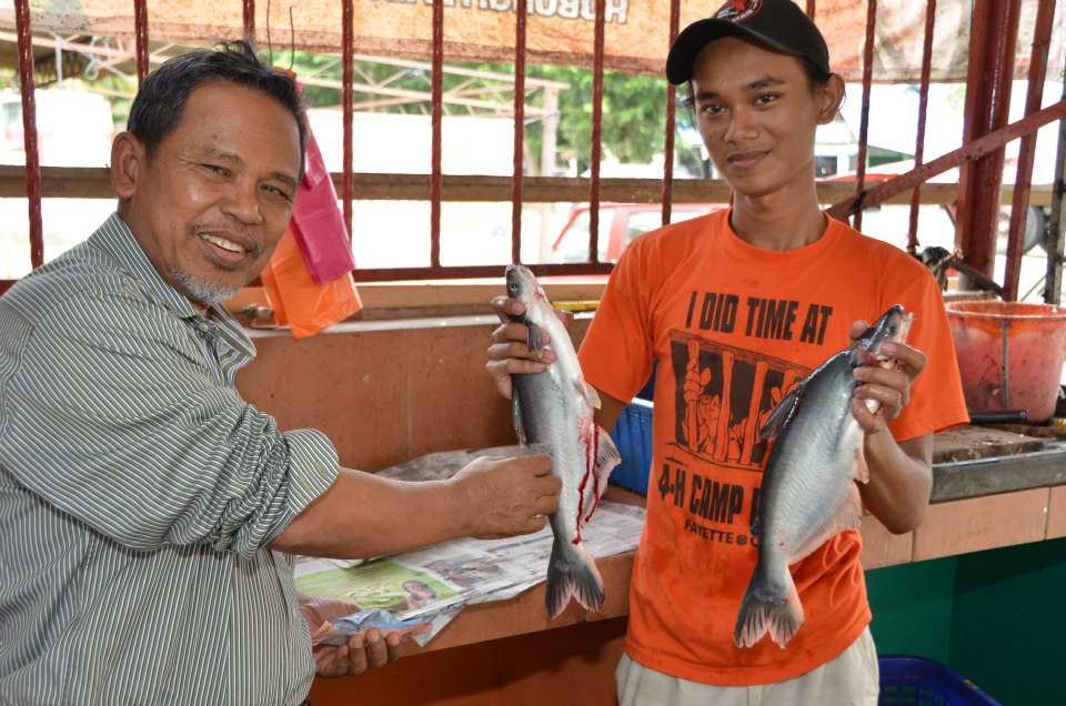 Dr Shafie Abu Bakar: Penangan Ikan Patin: Masakan Ikan 
