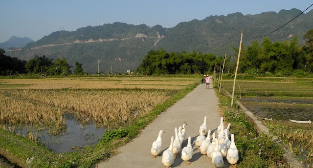 Essential Guide for the trip to Pu Luong from Mai Chau