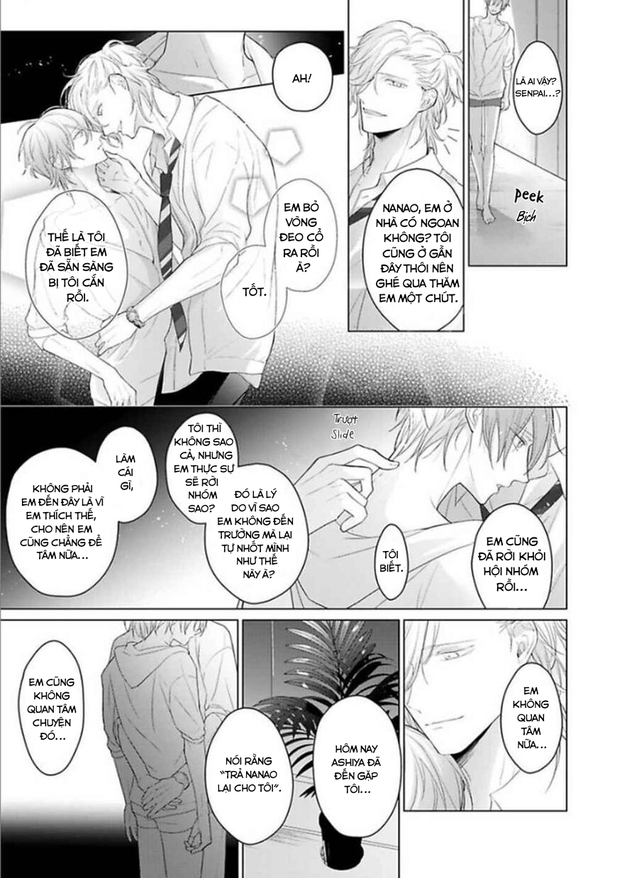 Đọc truyện Omega Không Đứng Đắn Không Thể Rơi Vào Lưới Tình - Chapter 5