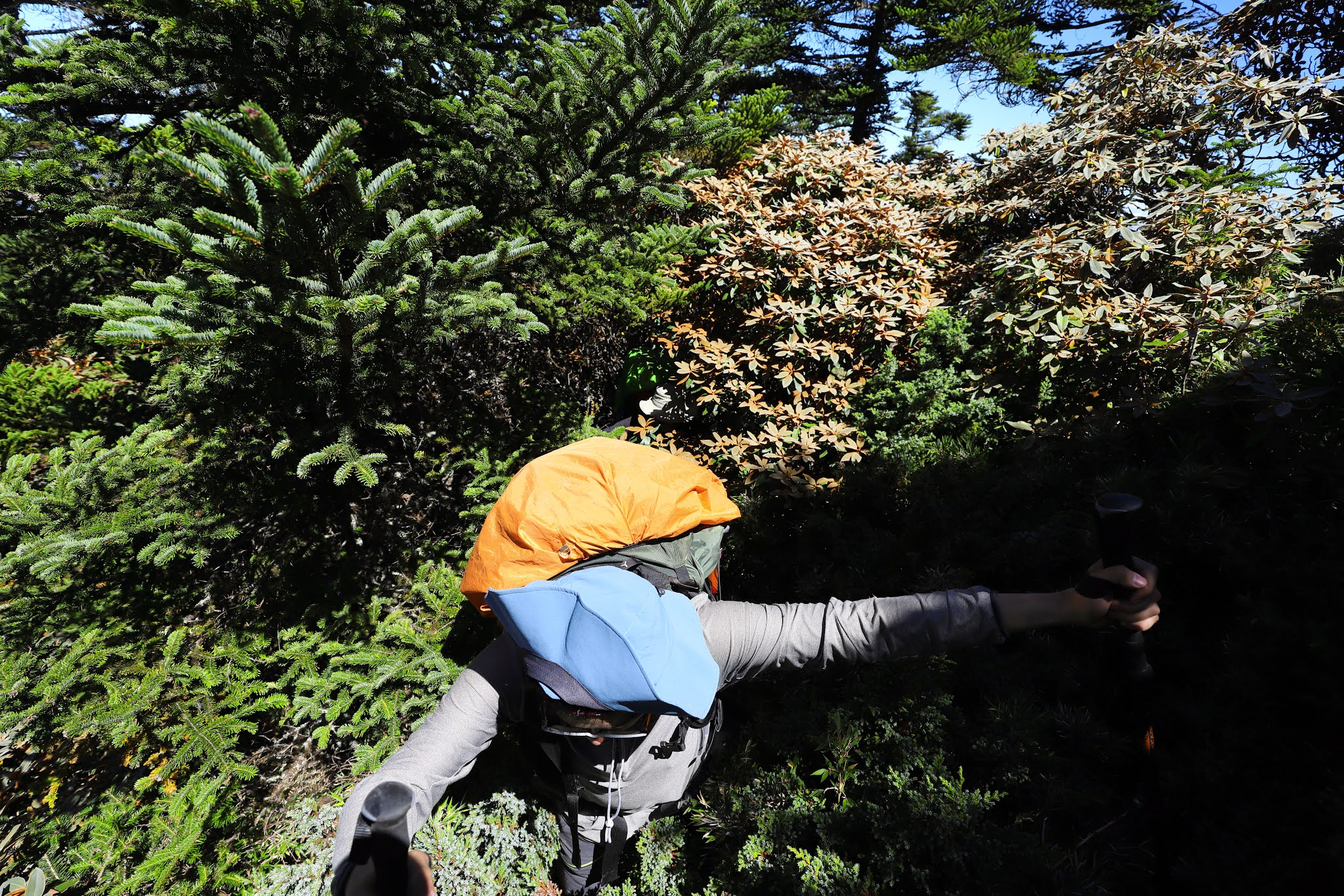 南湖北稜攀登南湖大山