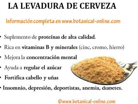 Levadura cerveza mercadona