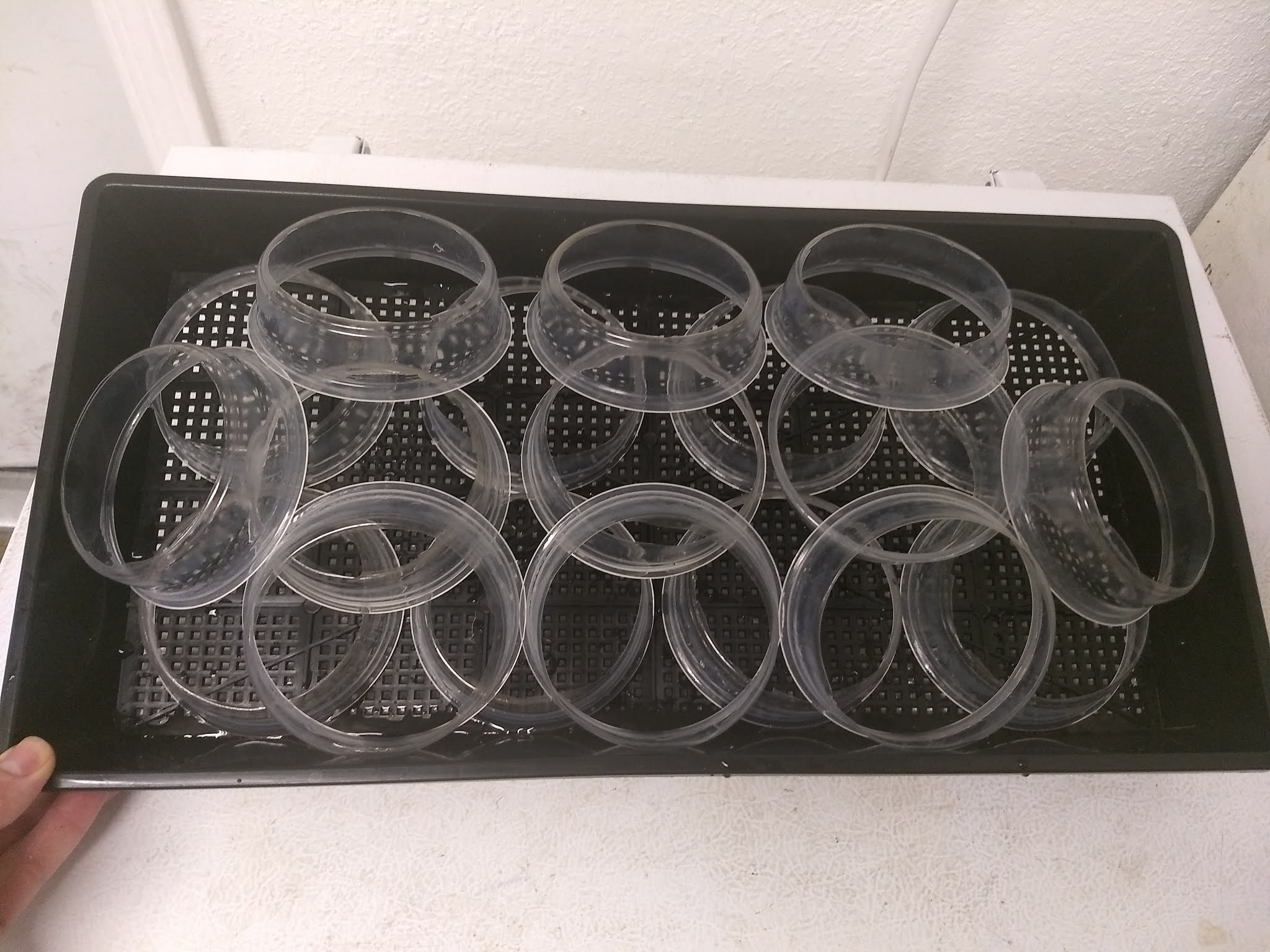 The Scientific Gardener Plant Collars