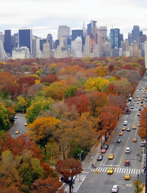 autumn in new york full movie free download autumn in new york full movie free download