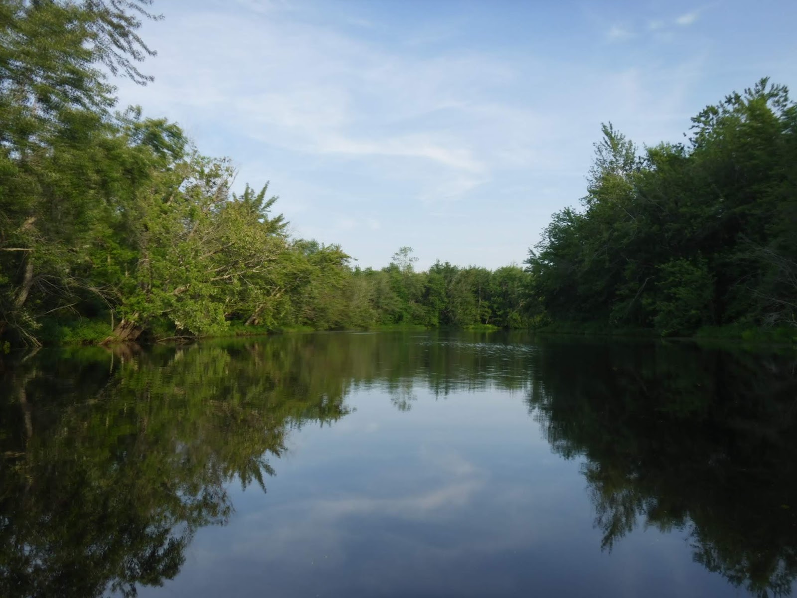 Hermon Pond and Souadabscook Stream