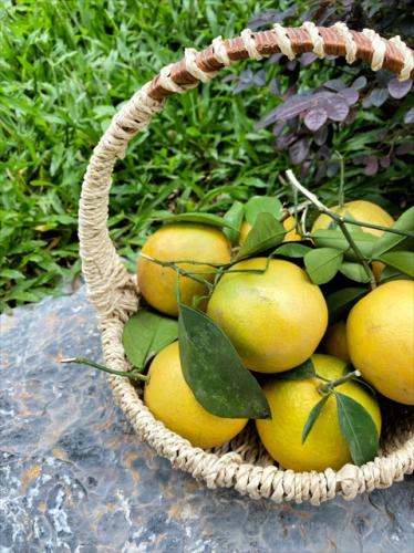 7dc99e52 2b89 480d aaaa 4a950165da34 1