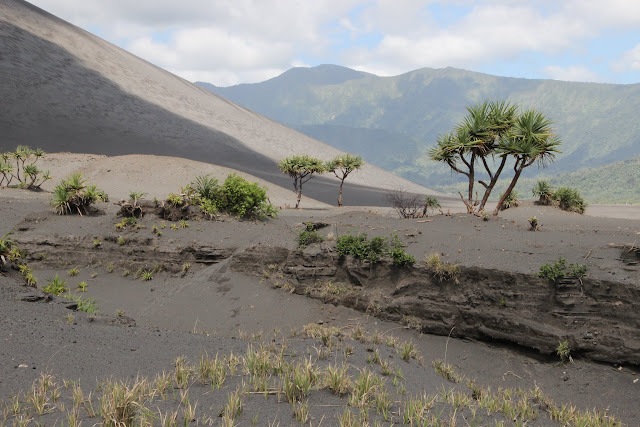 2016090179tanna.JPG