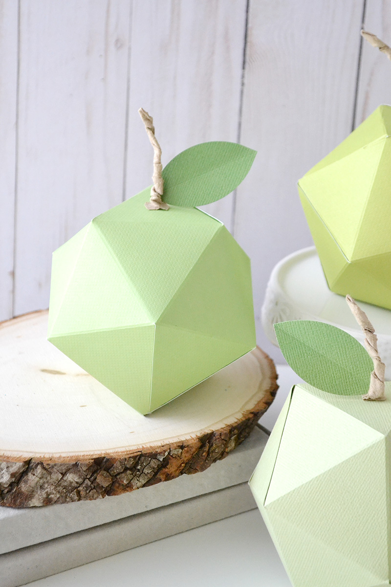 Aly Dosdall geometric paper apples