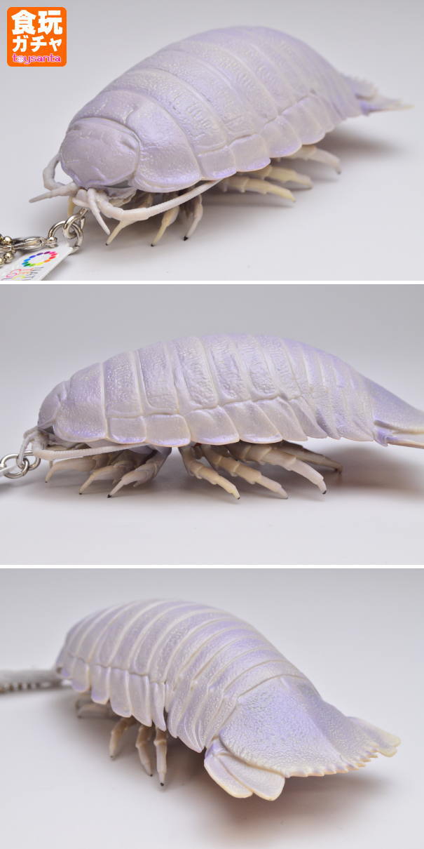 collectiontoy: Nature Techni Colour MONO Plus Giant Isopod & Isopod ...