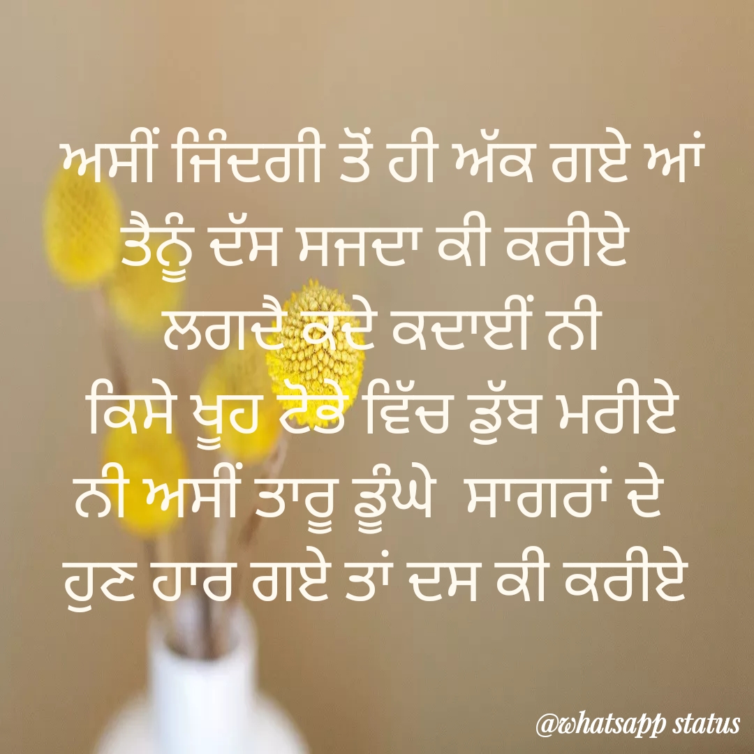 Best 30 new love status punjabi with pics for whatsapp 2020 Best new